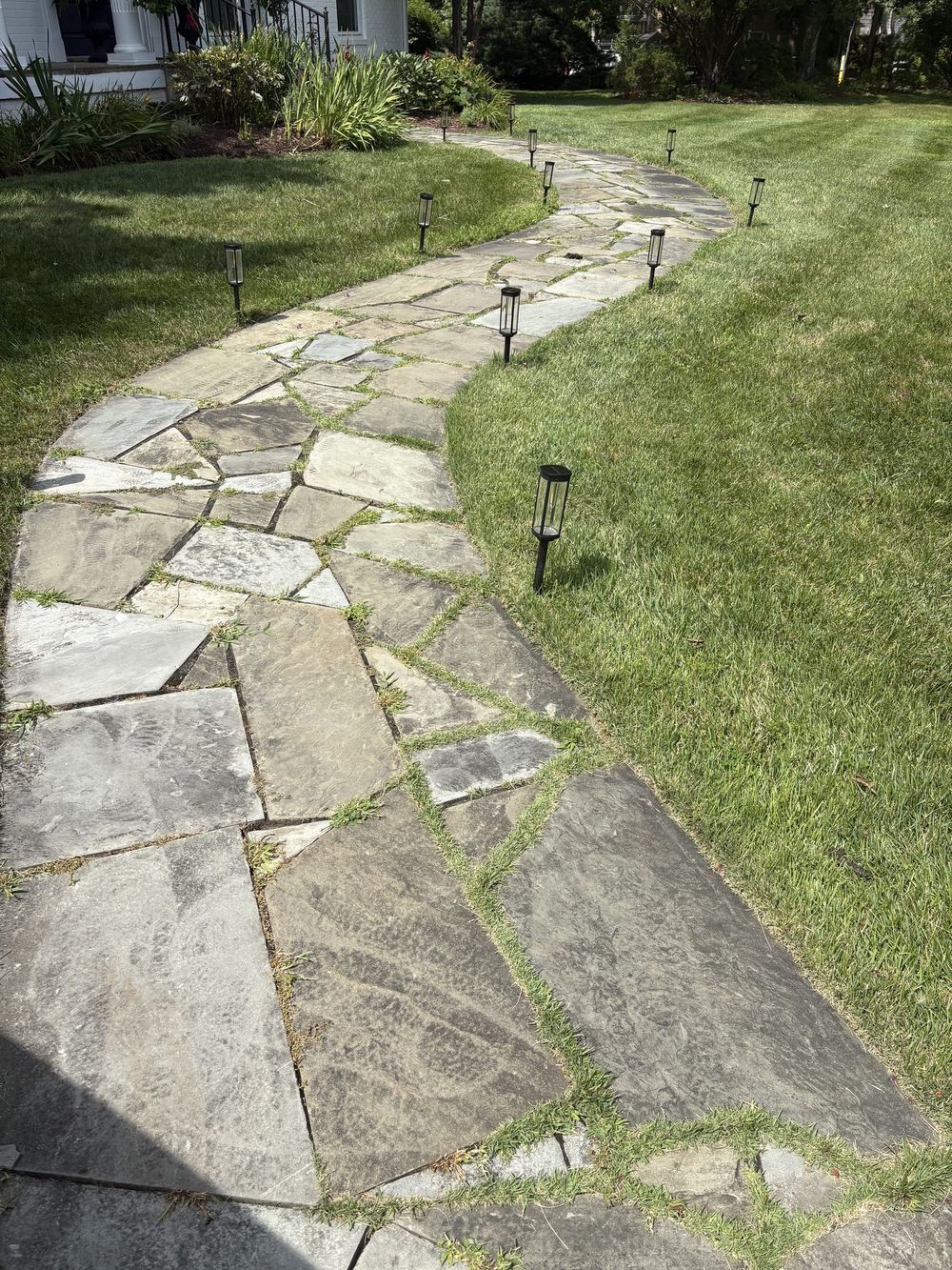 Flagstone walkway with weeds in the joints before pressure washing in Montgomery County MD