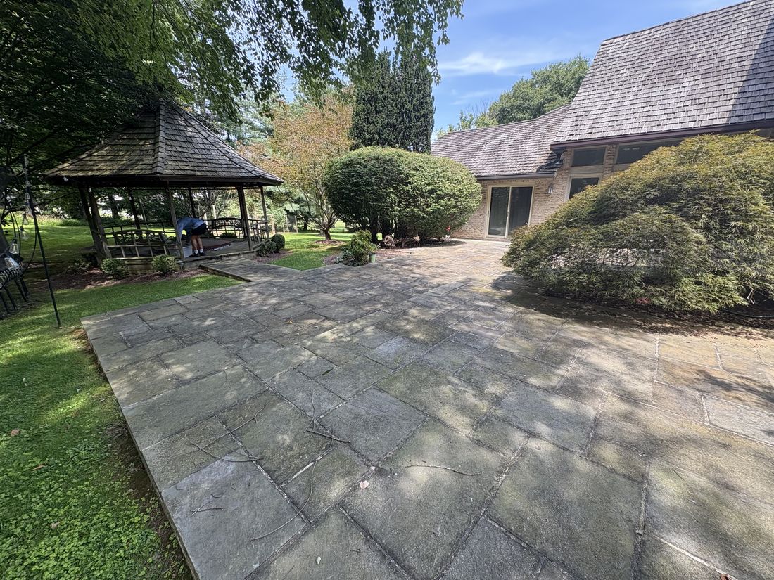 Bluestone patio before, covered in moss and grime
