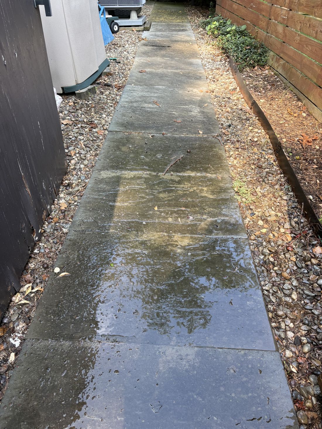 Concrete walkway before, stained with green algae and grime